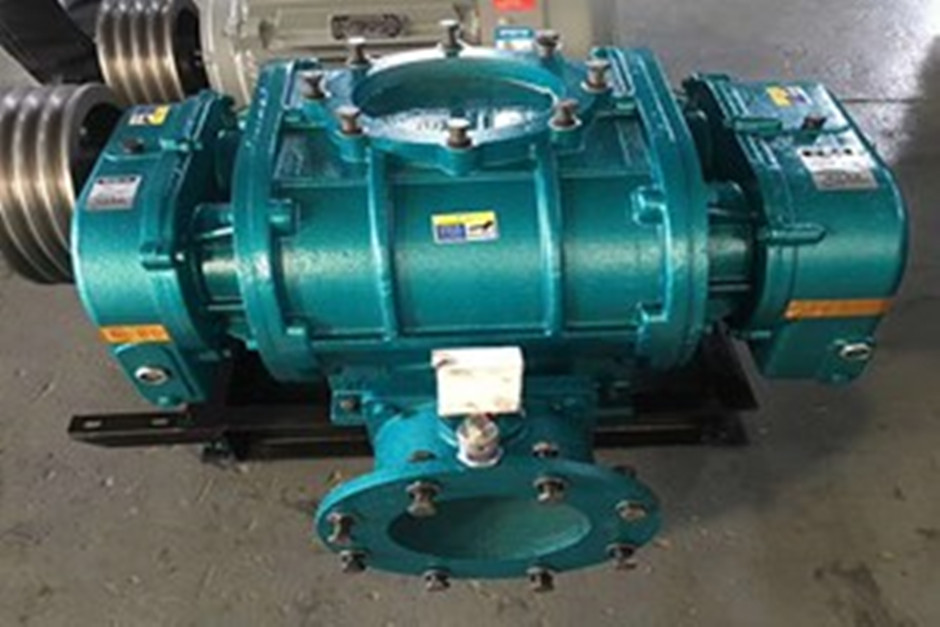 MSR300型號羅茨鼓風(fēng)機